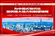 三中全会｜新华社播发系列解读（一）