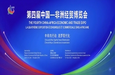 “中非共行动 逐梦现代化”第四届中国-非洲经贸博览会落下帷幕